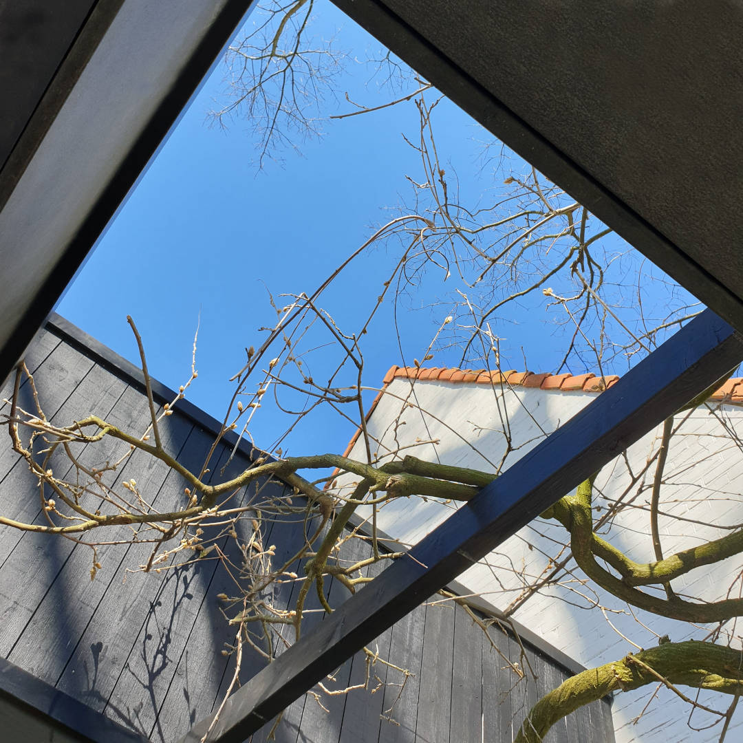 Verbouwing Modern Hout Contrast Architectuur Natuur Bestaand Nieuw ©Tijmen Bos Architecten