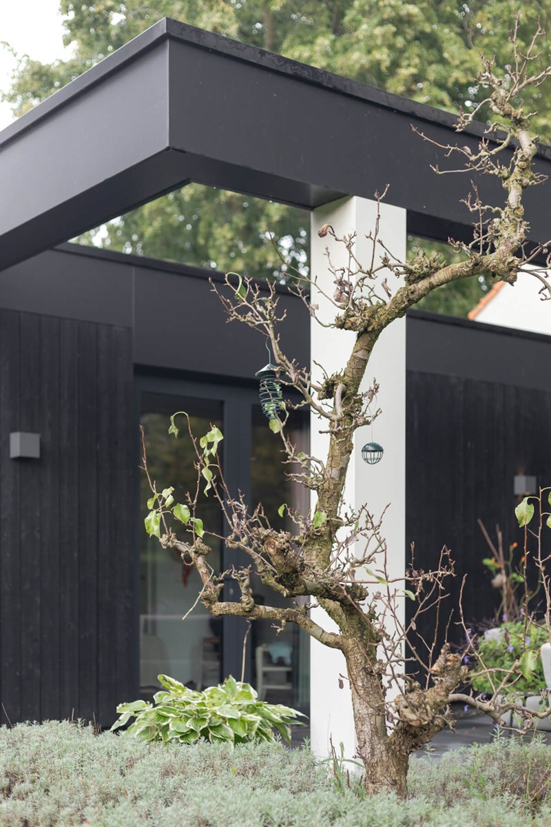 Woonhuis Modern Zwart Hout Kolom Contrast Architectuur Natuur ©Tijmen Bos Architecten